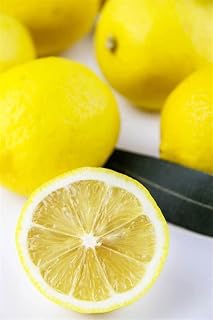 Lemon Tree Seeds 35pcs Garden Seeds Dwarf Lemon Tree Seeds