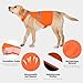 Warnweste Hund mit reflektierenden Elementen für Outdoor Aktivitäten Tag und Nacht, Verstellbar Sicherheitsweste für Hunde für Hält den Hund Sichtbar mehr Sicherheit im Dunkeln Orange XL