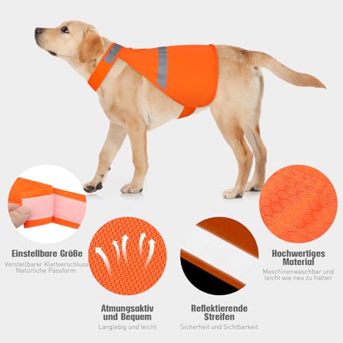 Warnweste Hund mit reflektierenden Elementen für Outdoor Aktivitäten Tag und Nacht, Verstellbar Sicherheitsweste für Hunde für Hält den Hund Sichtbar mehr Sicherheit im Dunkeln Orange XL