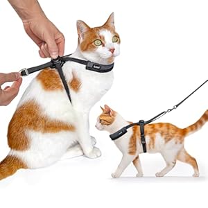 Omni-fit Cat Harness, Push-Button Adjustable, Escape-Proof, Lightweight, No Bulk, Minimal Design, for Max Mobility and a Comfortable Fit on Cats (Medium)