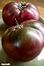 Cherokee Purple Heirloom Tomato Seeds- 75+ Seeds by Ohio Heirloom Seeds