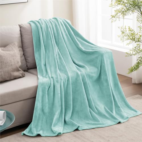Image of BEDELITE Fleece Blanket Haze Blue Throw Blankets for Couch & Bed, Luxury Plush Cozy Fuzzy Blanket 50 inch x 60 inch, Super Soft Warm Lightweight Throw Blanket for Travel Camping
