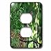 3dRose Baby Fawn in the woods - Light Switch Covers (lsp-378040-6)