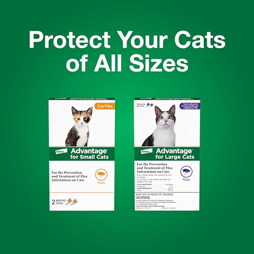 Advantage Topical Cat Flea Treatment and Prevention for Small Cats 2-9 lbs. | Apply Flea Drops Monthly | 2 Treatments - Image 8