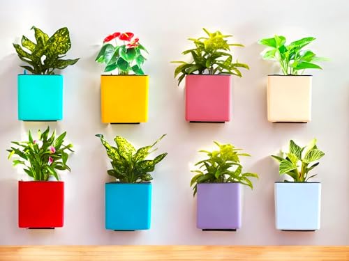 Image of Indian Discovery Self Watering Wall Hanging Planter|Hanging /Hooked Flower Pots for Home, Balcony, Vertical Garden Decor Flower Pots(2 PC, White, Square) |6 Inch UV-Resistant Plastic Plant Pots