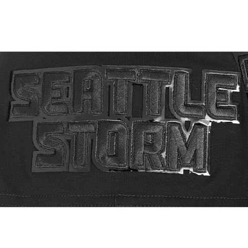 Image of Pro Standard Mens WNBA Classic Triple Pull Over Hoodie