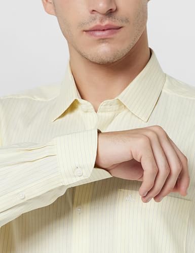 Image of Arrow Men's Cotton Striped Slim Fit Shirt