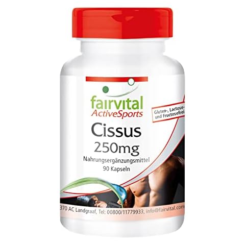 Fairvital | Cissus Kapseln - HOCHDOSIERT - VEGAN - 90 Kapseln - Cissus Quadrangularis Cover