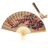 Ventaglio Cinese Decorativo Grande da Parete 0,5x0,9m