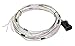 Holley 558-400 Connector J1A/B Input/Output Auxiliary Harness