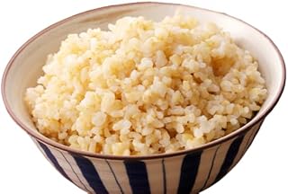 米 10kg 玄米 ゆめつくし お米