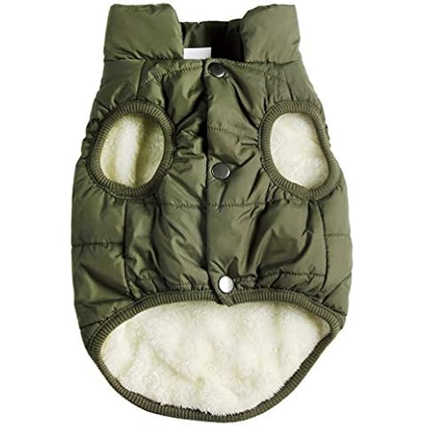 Manteau JoyDaog pour chien Cover