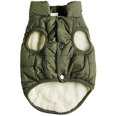 JoyDaog Fleece Lined Dog Jacket for Small Dogs,Winter Dog Coat,Green XS