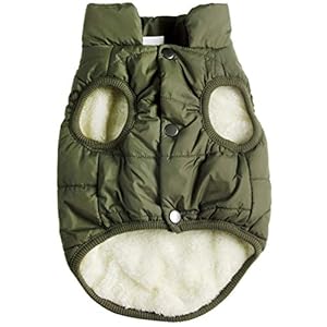 JoyDaog 2 Layers Fleece Lined Warm Dog Jacket for Puppy Winter Cold Weather,Soft Windproof Small Dog Coat,Green S