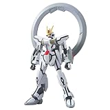 BANDAI SPIRITS(バンダイ スピリッツ) HG 機動戦士ガンダムSEED C.E.73 STARGAZER GSX-401FW スターゲイザーガンダム 1/144スケール 色分け済みプラモデル