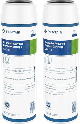 Image of Pentair Pentek GAC-10 10 inch x 2.5 inch Carbon Water Filter, Pack of 2