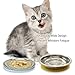RMNHPTK Cat Food Dishes, Stainless Steel Cat Bowls Relief Whisker Fatigue Cat Bowl Cat Food Plates with Non-Slip Mats Shallow Cat Bowl for Wet & Dry Food (6 Inch)