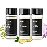 Discover the Best Miami Hotels South Beach for Your Stay 3 Scentia Premium Fragrance Discovery Kit | Aromatherapy Fragrances Inspired by 5-Star Stays| Luxurious Scents Gift Box Set - 3 x 50 ml - The 1 Hotel Miami Beach, W Magic - Made in USA