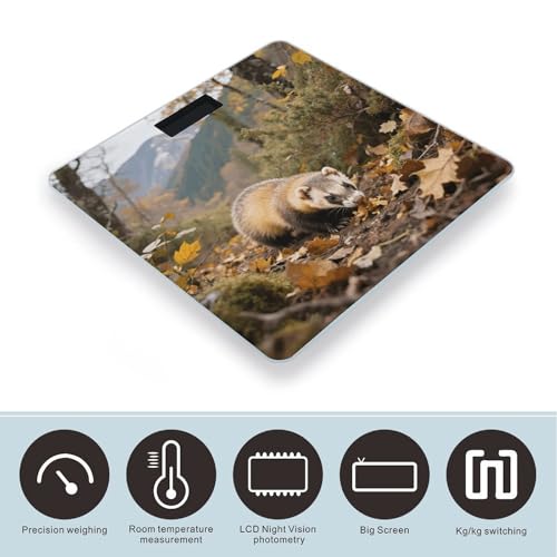 Báscula digital de baño Ferret - Badger vidrio templado 400 lb miniatura 3