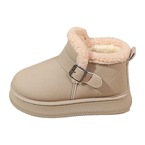 [murfeko] [gu[c fB[X  Xm[u[c ӂӂ C {A  ~  r K h ۉ IV  ʊw ʋ JWA AEghA t@bV wlC l H~ 24.0 cm