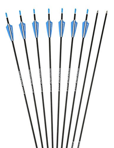 Pandarus Archery Carbon Arrows 28-Inch Safety Beginner's Target Practice For Compound & Recuve Bow - (Pack Of 12) Blue #TOP1