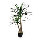 HTT DECORATIONS: Alias Huis & Tuin Toppers B.V / Kunstplantshop.nl ist spezialisiert auf hochwertige, realistische Kunstpflanzen und Kunstblumen. Ob privat oder beruflich: Die Dutch Design Firma schreibt Qualität & Service groß & bietet für jeden Raum die richtige Dekoration.