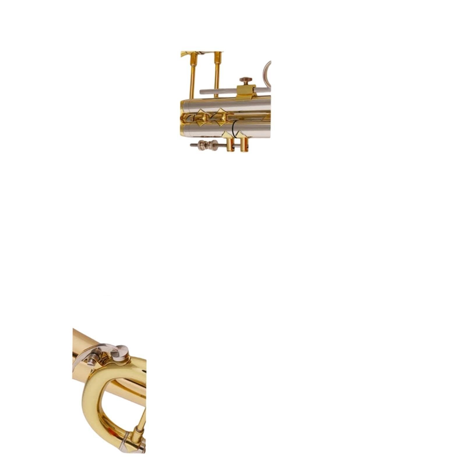 Trumpet Trompeta en si bemol de calidad profesional