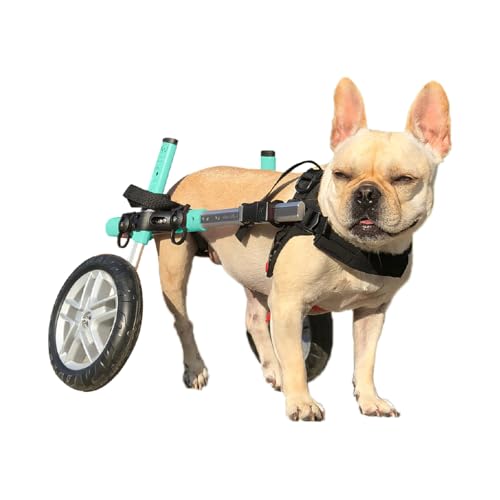 Walkin' Wheels Small 15-25 lbs Seafoam