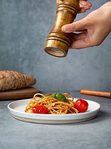 Famiware Saturn 6 Pieces Dinner Plates, 10.5 Inch Plate Set, Scratch Resistant, Stoneware Dinnerware, Kitchen Modern Rustic Serving Dishes, White #TOP3