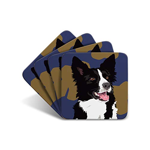 Border Collie - Set of 4 Coasters - Leslie Gerry Animal Gifts