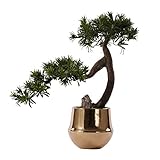 Einfach zu halten und zu speichern, lebendige Farben Design und hohe Simulation macht es sehr geschichtet und attraktiv