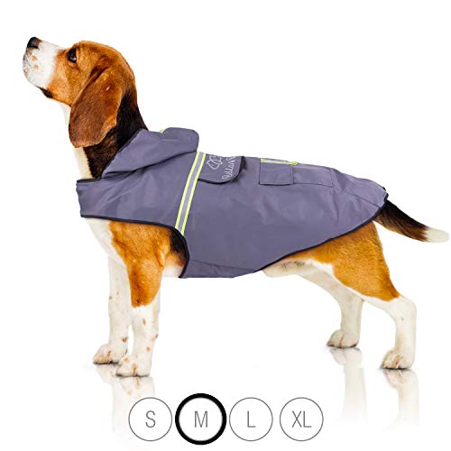 Bella & Balu Hunderegenmantel  Wasserdichter Hundemantel mit Kapuze und Reflektoren für trockene, sichere Gassigänge, den Hundespielplatz und den Urlaub mit Hund (M | Grau)