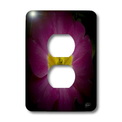 Fleur de Passion Violet cache de sortie centrale haut de gamme 3dRose LSP_49713_6