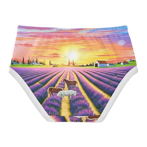 Bright Toddler Girls Underwear 2t Cotton Cute Panties Girl Sunset Lavender Fields Horses Kids Briefs Undies2