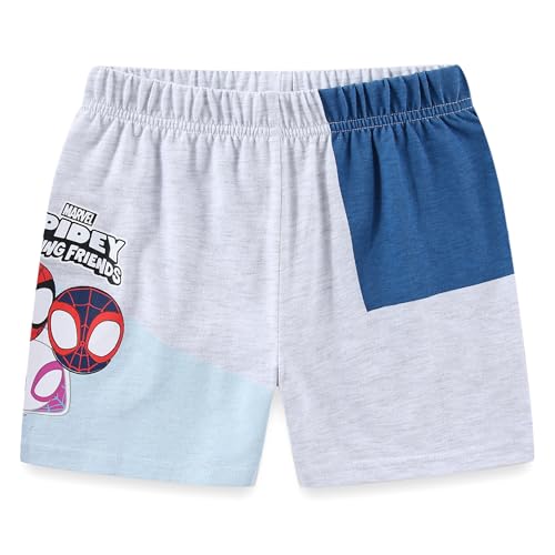 Image of Marvel Spidey and His Amazing Friends Boys Short Sleeve T-Shirt and Shorts Set for Toddlers