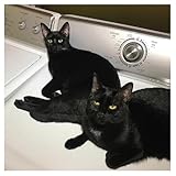 Thrill Jockey Records