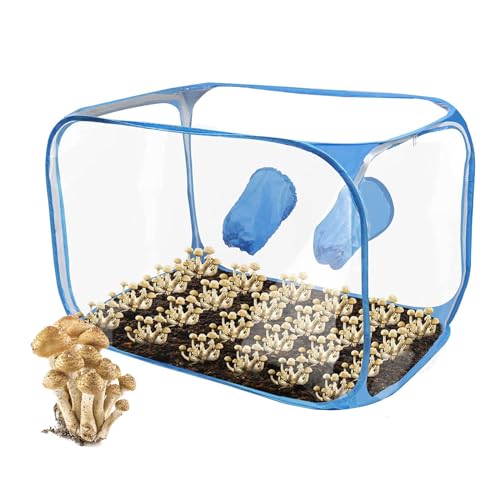 キノコ栽培テント 透明PVC キノコ栽培バッグキット 折り畳み式ポップアップキノコ栽培コンテナ 通気口2つ付き 多目的栽培屋内キノコ栽培テント 成長過程を観察・記録 胞子菌学 園芸用品 野菜栽培セット 室内室外 35cm * 35cm * 6cm (青)
