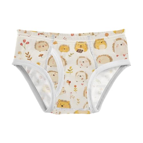 KLL Cute Watercolor Hedgehogs Boys Toddler Cotton Athletic Underwear Breathable Children Undies