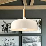 E26/27 Modern Pendant Light Industrial Art Deco Ceiling Lighting Light Fixture Simple Nordic Style H