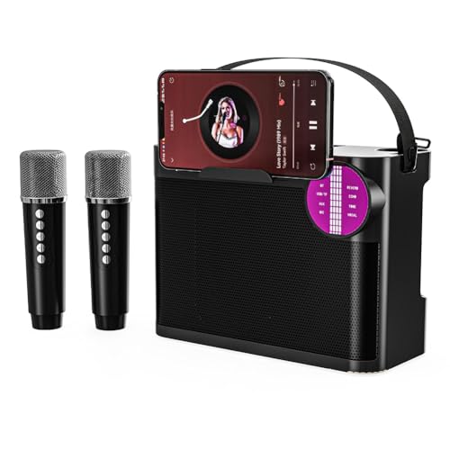 Haut-parleur stéréo karaoké portable pour éliminer les câbles avec dual micro