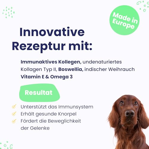 FLEXADIN ADVANCED® Hund | Für die Gelenkgesundheit | undenaturiertes Kollagen Typ II & Boswellia – 60 Gelenkleckerli