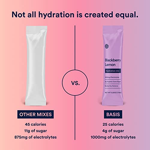 Basis Hydration Low Sugar Powder Packets, Electrolyte Mix, Keto-Friendly, Pregnancy Dehydration Relief - For Workout Travel Sports (Blackberry Lemon, 15 Pouches) #TOP1