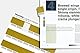Pantone Lighting Indicator Stickers D65, LNDS-1PK-D65, mehrfarbig