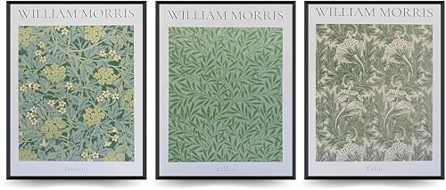 Linilioart vintage botaniska konsttryck set med 3 tulpan pilträ jasmin blomma affisch rustik blommig växt väggdekor för sovrum vardagsrum, oramad (50 x 75 cm)