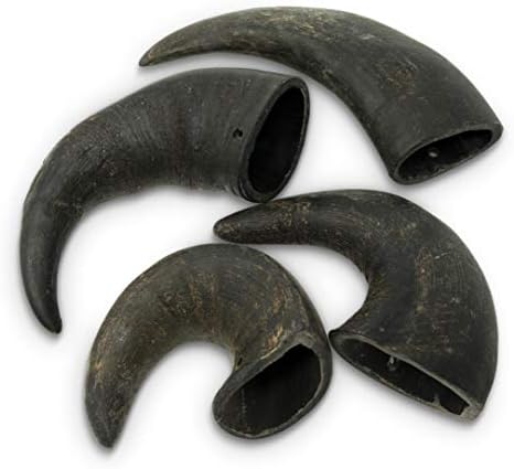 Wild Eats Water Buffalo Horn Dog Chews (All Natural, Single Source Protein, Grain Free Dog Treat, Dog Chews for Power Chewers) 4 Pack Small