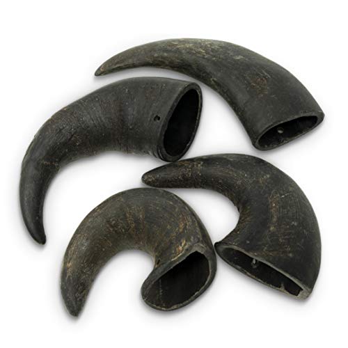 Wild Eats Water Buffalo Horn Dog Chews (All Natural, Single Source Protein, Grain Free Dog Treat, Dog Chews For Power Chewers) 4 Pack Small #TOP1