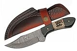 SZCO Supplies 8.25' Buffalo Horn And Stag Handle Upsweep Skinner Outdoor Hunting Knife With Sheath