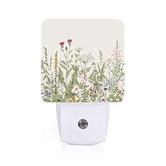 Wildflowers In Full Bloom