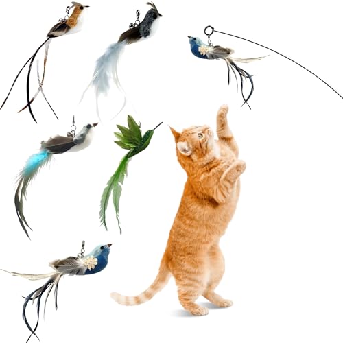 CUTIE PAW PAL Deluxe Bird Replacement Heads for Cat Toys - Set of 5 - Realistic Feather Designs Including Blue Floral, Two-Tone, Traditional, Black & White, Green Hummingbird - Easy Clip-On