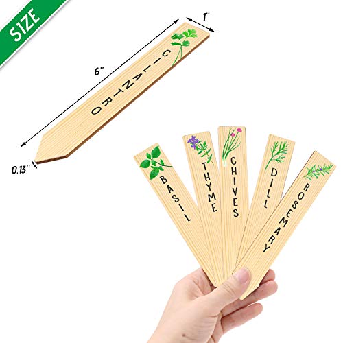 Huray Rayho Wooden Plant Labels Sign Planted Assorted 12-Pack Kitchen Herbs! Outdoor Indoor Garden Stakes Garden Gifts Garden Markers Re-Usable Plant Tags #TOP1